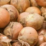 Hvad sker der, hvis du lægger løg i blød i koldt vand: en lille hemmelighed, der vil ændre smagen af dine salater hvad-sker-der-hvis-du-laegger-loeg-i-bloed-i.jpg