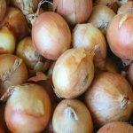 Hvorfor løg og gulerødder plantes sammen: den gennemprøvede duo til højbedet hvorfor-loeg-og-guleroedder-plantes-sammen-den-gennemproevede-duo-til.jpg